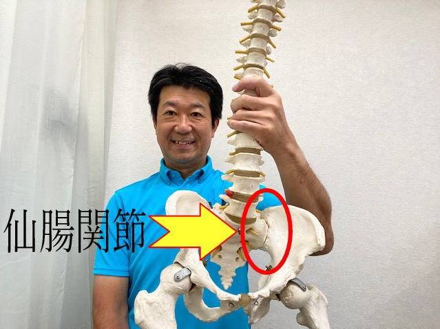 【横須賀市　整体】仙腸関節を調整して腰痛改善を｜しん整体ラボ