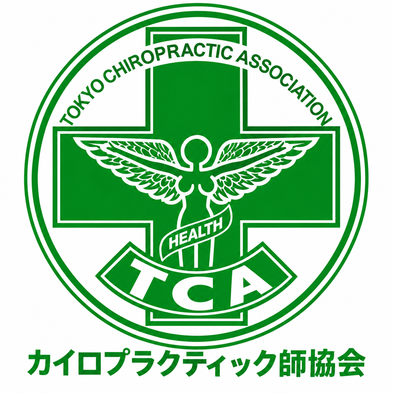 【横須賀で腰痛を良くしたい方へ】カイロプラクティックの効果・原因・院の選び方をプロが本音で解説