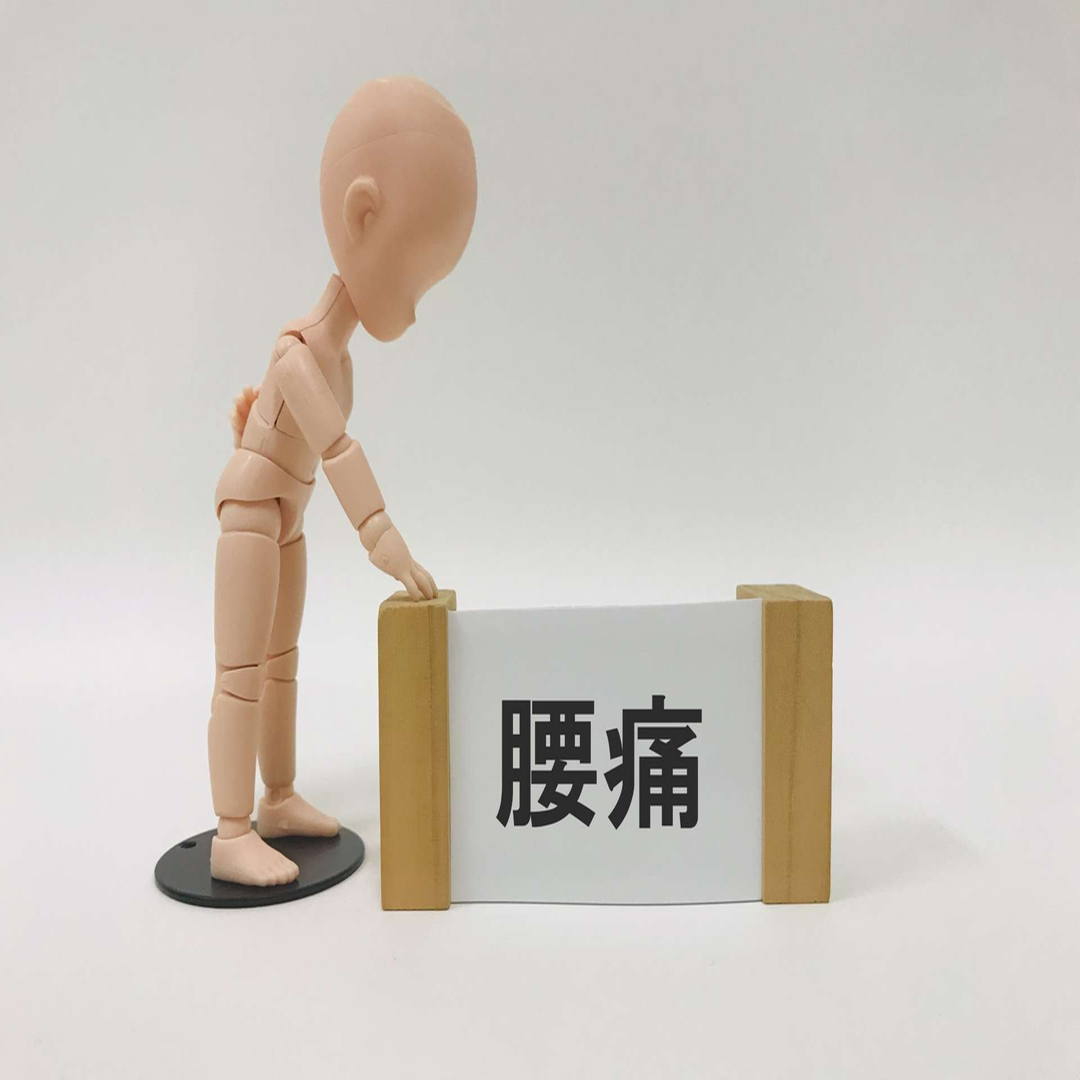 【横須賀市 整体】腰痛について|しん整体ラボ