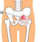 【横須賀市　整体】腰痛・梨状筋症候群について｜しん整体ラボ
